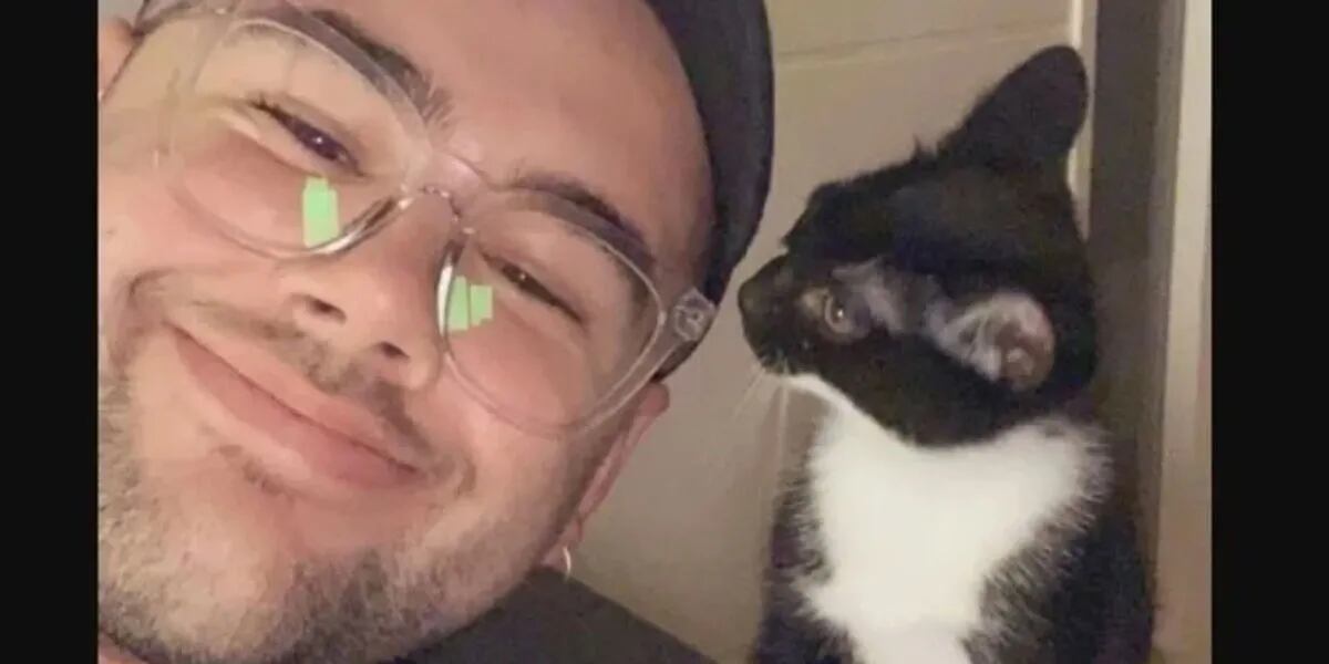 Llevó su gato al veterinario porque actuaba raro, pero el problema era con él: "Nunca había hecho algo así"