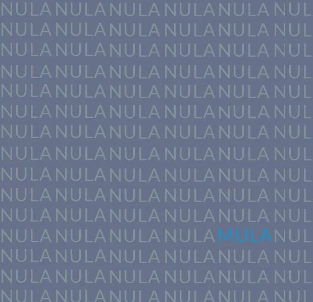 Reto visual nivel expertos: en 6 segundos encontrar la palabra MULA