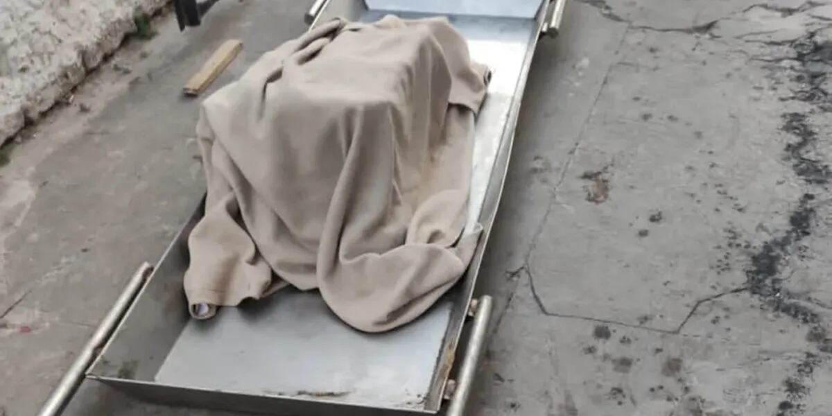 De qué murió Milagros, la nena de 5 años encontrada en una caja de madera con cemento en San Martín