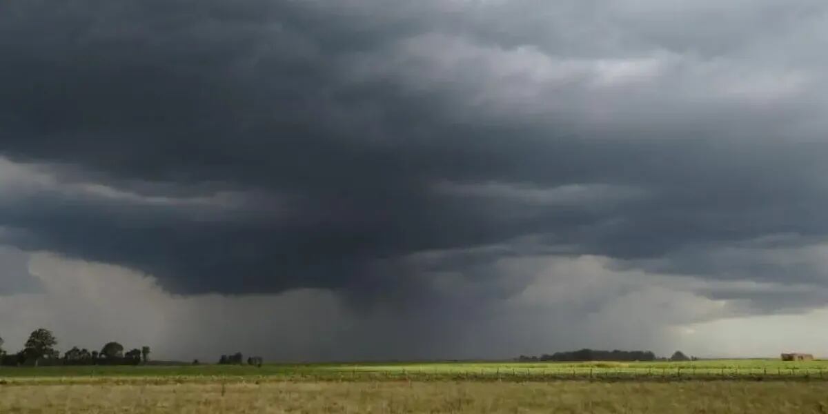 El demoledor pronóstico meteorológico para Argentina que causó preocupación: “Capacidad de supervivencia” 