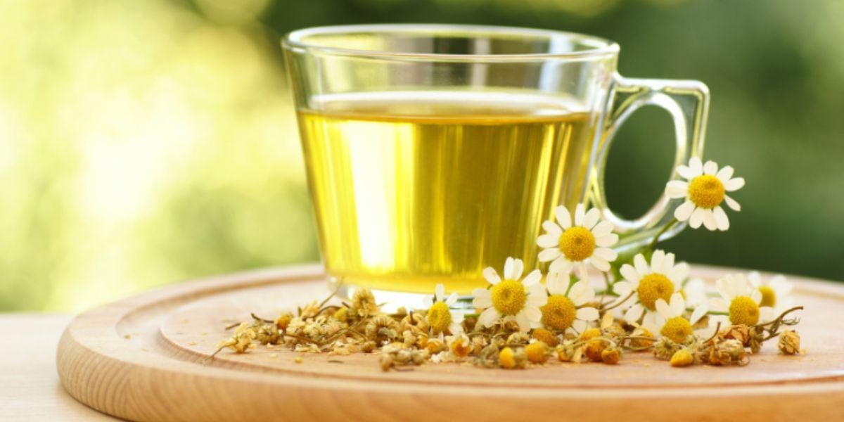 Té de manzanilla para qué sirve y cómo prepararlo La 100