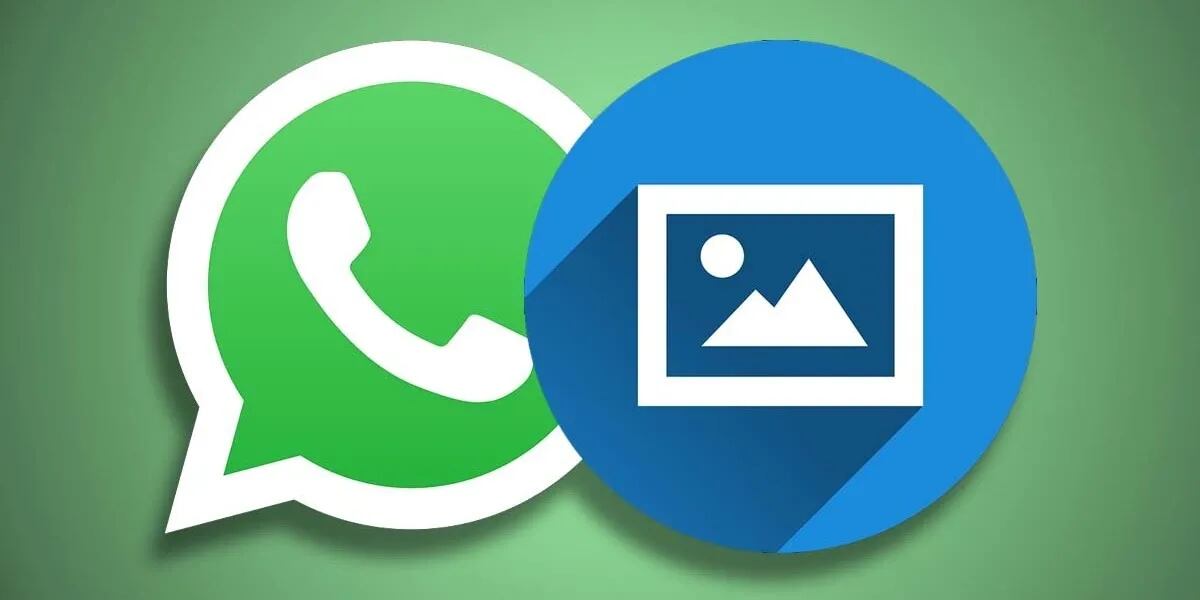 WhatsApp cambia las fotos de perfil de manera obligatoria: a qué se debe