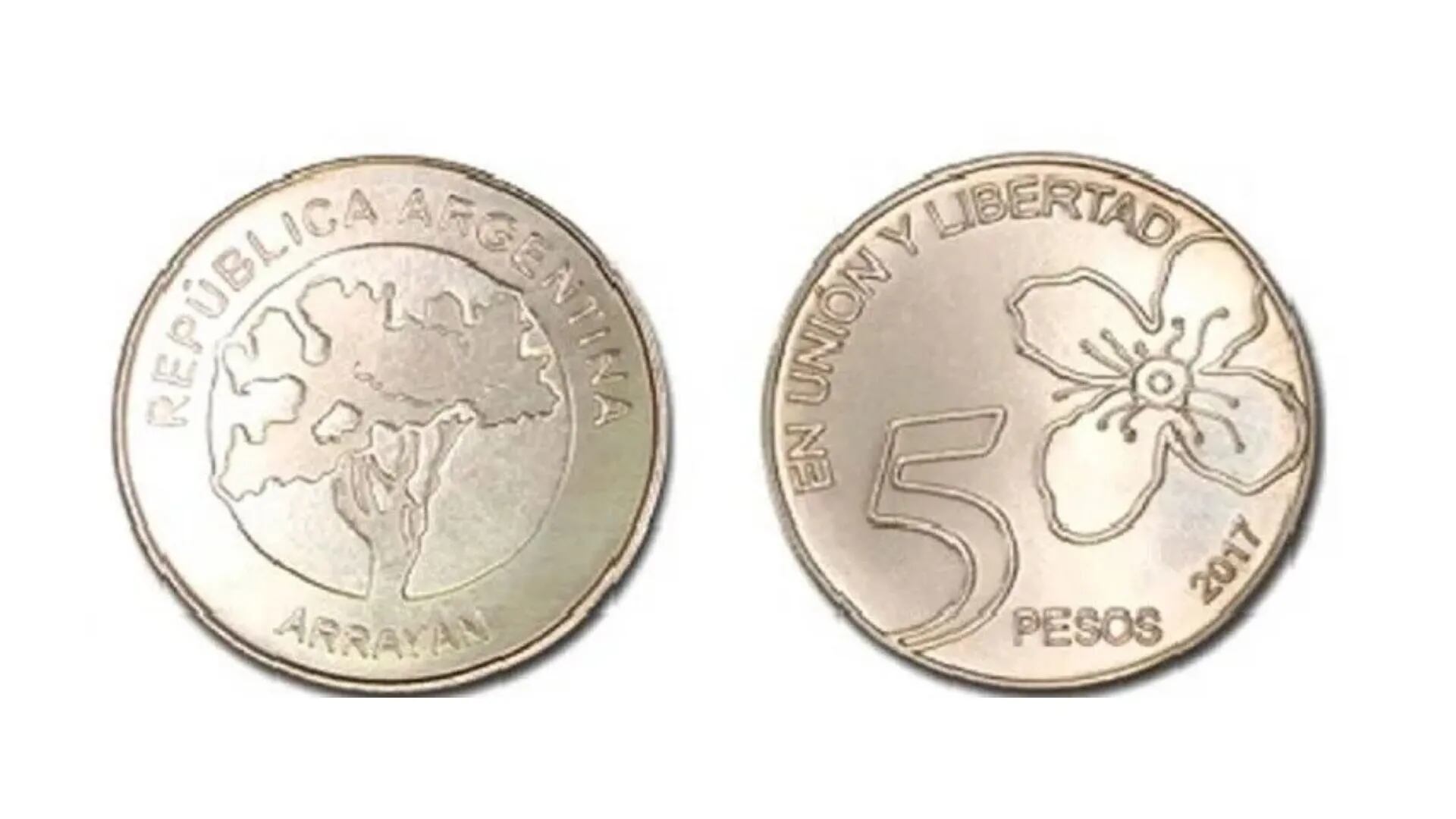 Pagan hasta $50.000 por monedas de $5 con errores de impresión: cómo identificarlas