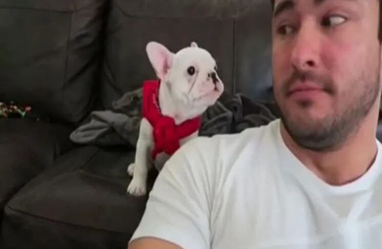 Video| Su dueño le dijo "guapo" a su perro y la reacción del cachorro se volvió viral