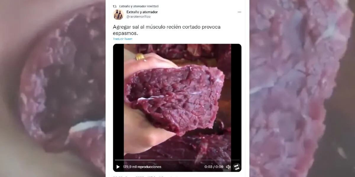Un video mostró un trozo de carne cruda “temblando” y generó pánico: “Frase o palabra”