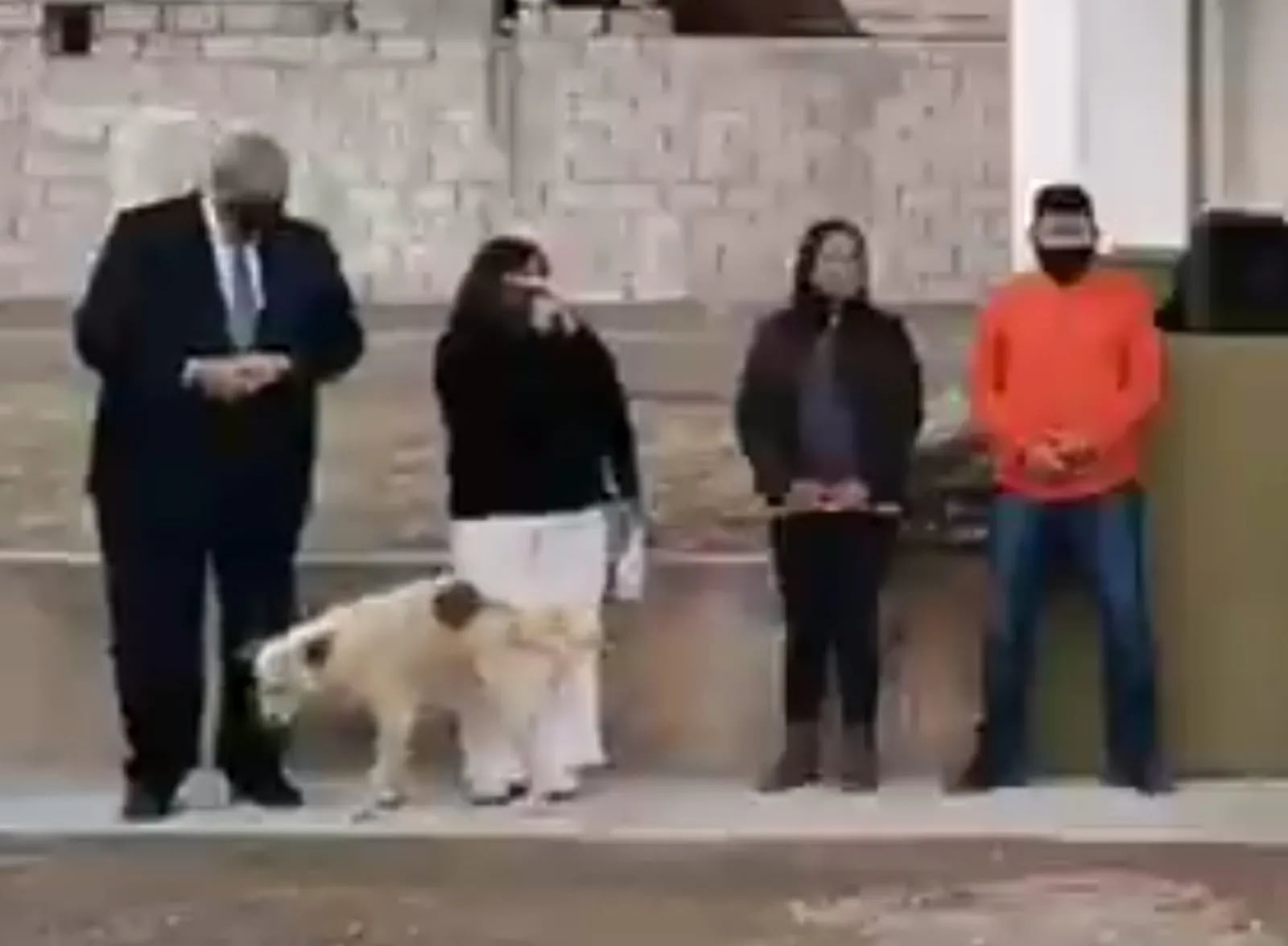 Video: un perro callejero orinó a una intendenta en pleno acto político