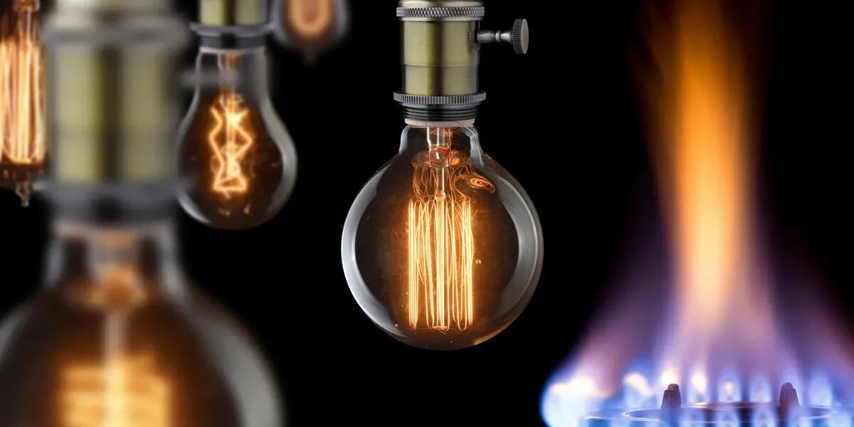 Nuevo límite al consumo de luz y gas: cuánto consumen tus electrodomésticos y cuál es el máximo para no perder el subsidio