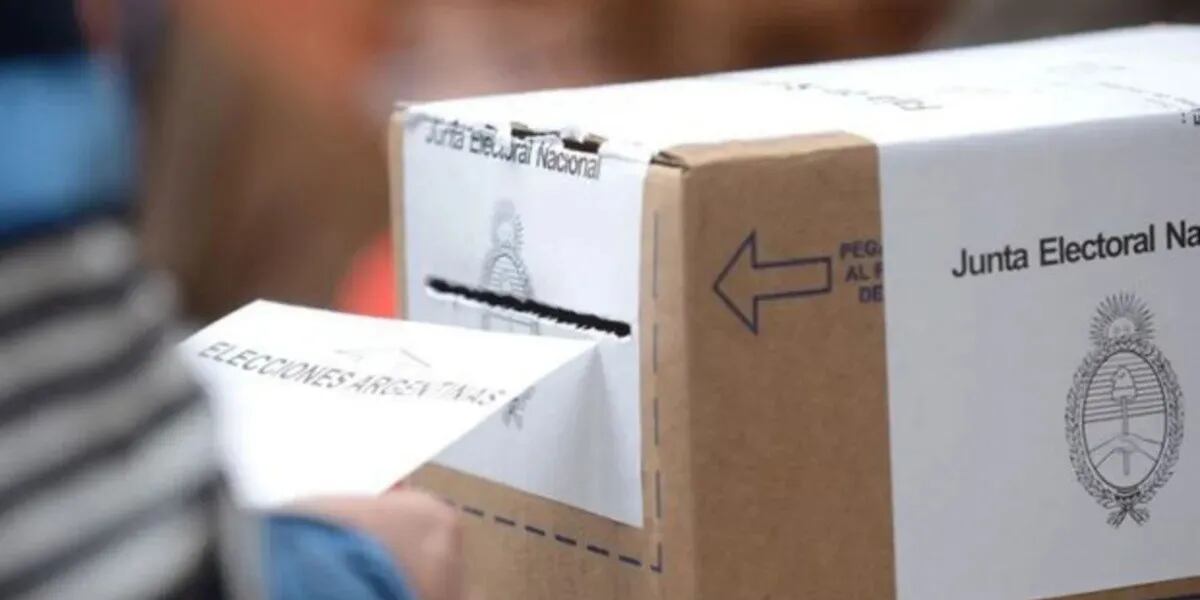 Sebastián Schimmel, secretario de la Cámara Nacional Electoral: “Los adultos mayores tienen prioridad para votar durante toda la jornada”