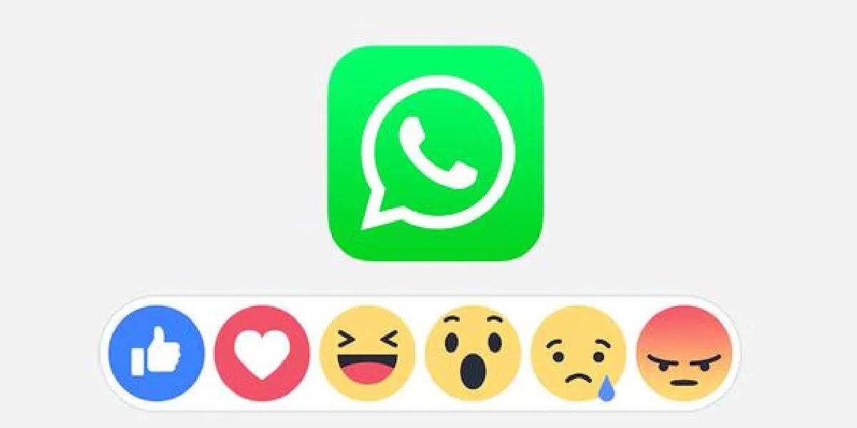 whatsapp-actualizaciones-reaccione
