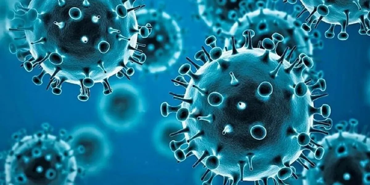 Coronavirus: la variante Ómicron BA.5 ya está en Argentina y podría haber un nuevo crecimiento de casos
