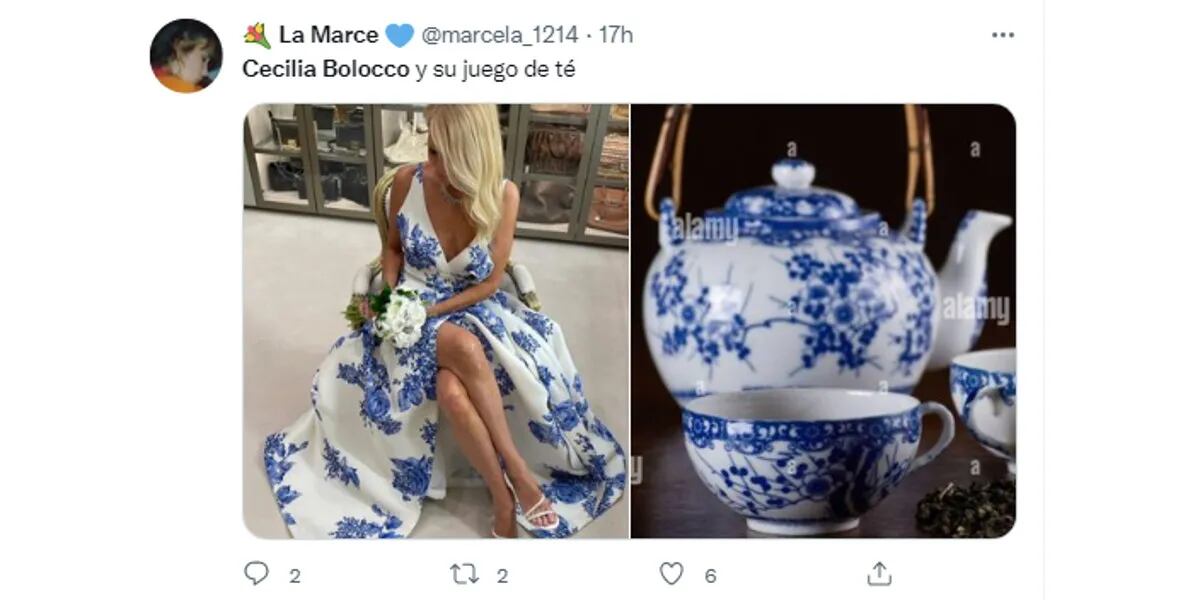 Cecilia Bolocco se casó y su vestido generó una cataratas de memes