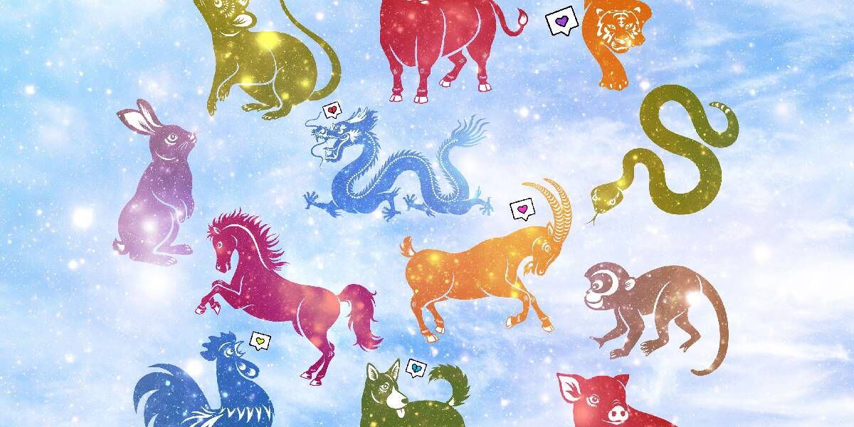 Horóscopo: qué animal sos según tu signo del zodíaco