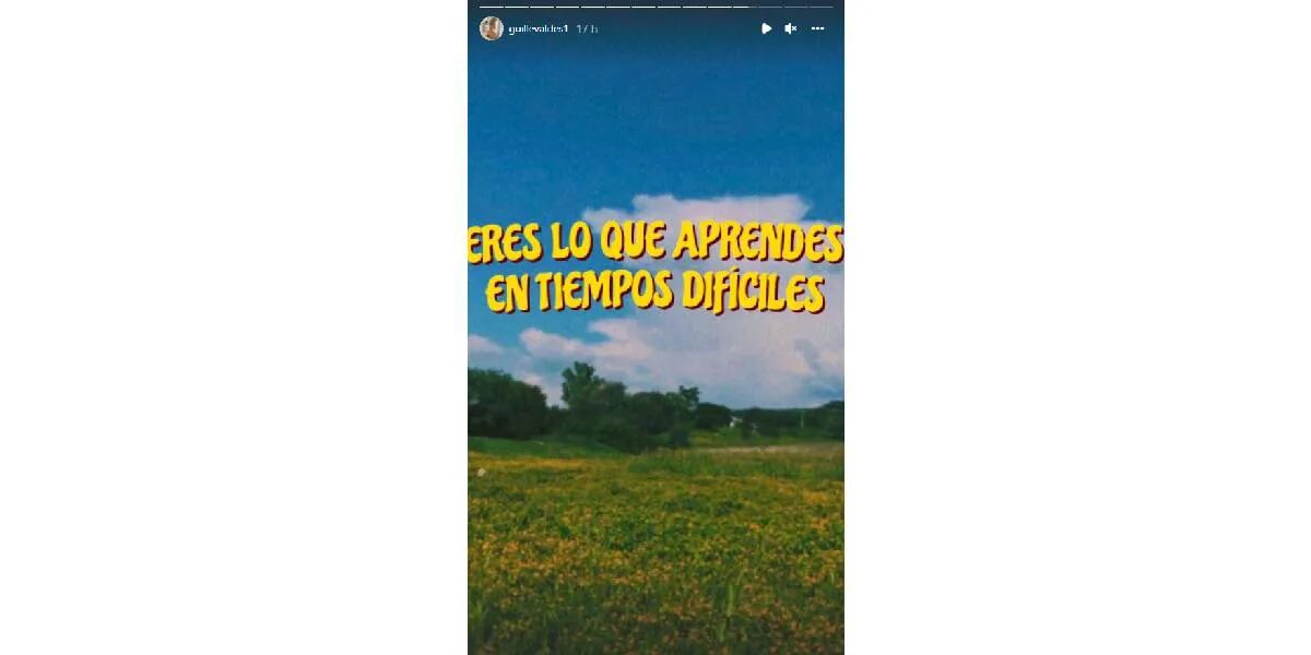 El sugerente posteo de Guillermina Valdes en medio de rumores de separación: "Tiempos difíciles"
