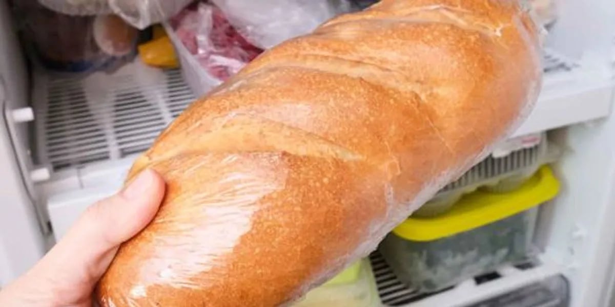  Cuánto tiempo dura el pan congelado en el freezer 