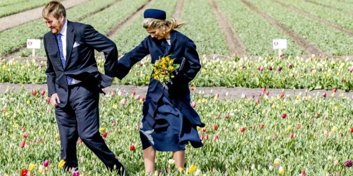 Las desopilantes imágenes de Máxima y Guillermo de los Países Bajos en un campo de tulipanes
