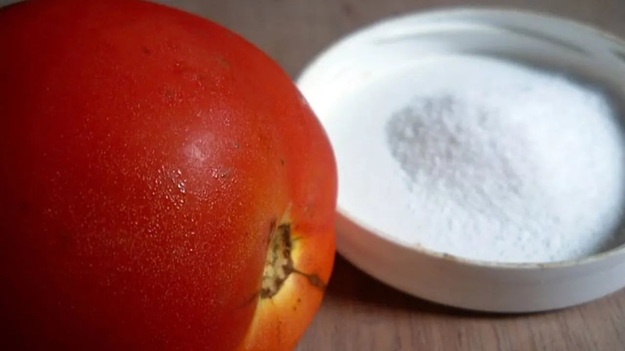 Por qué los científicos recomiendan echarle sal a los tomates