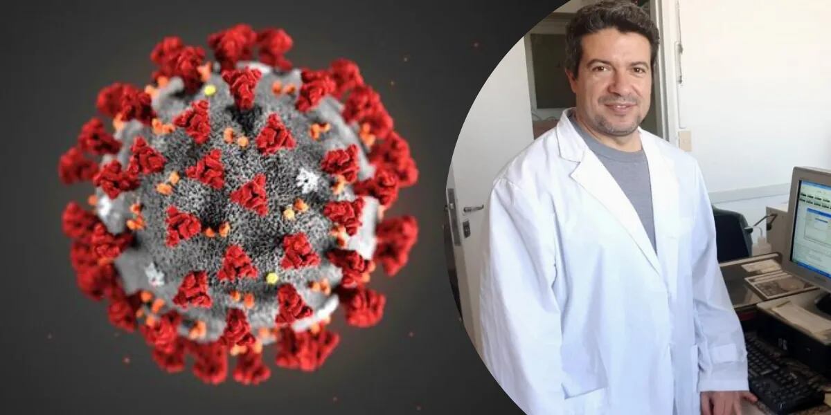 Científicos argentinos descubrieron un mecanismo molecular clave para combatir al coronavirus
