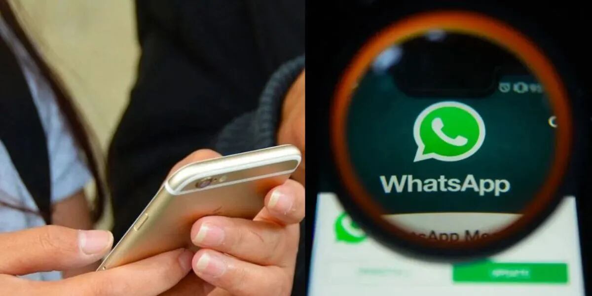 La quisieron estafar por WhatsApp, se avivó y su  respuesta se volvió viral: “¿Tiene para hacer transferencia?”
