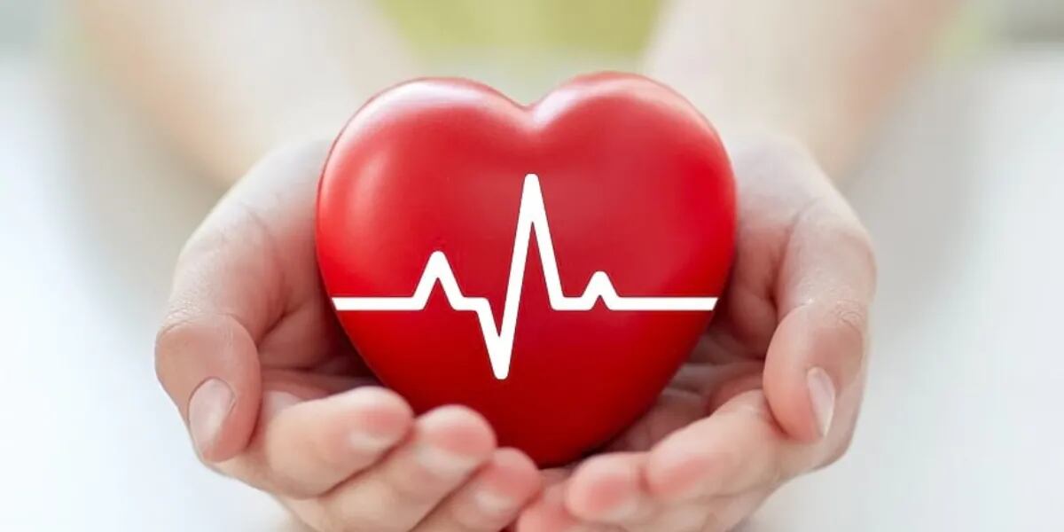 Día Mundial del Corazón: cómo llevar una vida saludable y qué hacer en una emergencia
