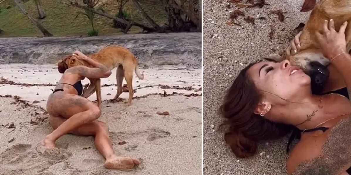“Era una atrevida”: una perrita casi deja sin ropa a una chica en una playa y el video se hizo viral en las redes