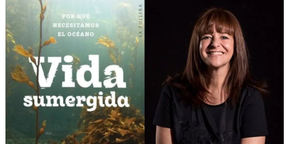 “Vida sumergida”, la recomendación literaria de Flavia Pittella 