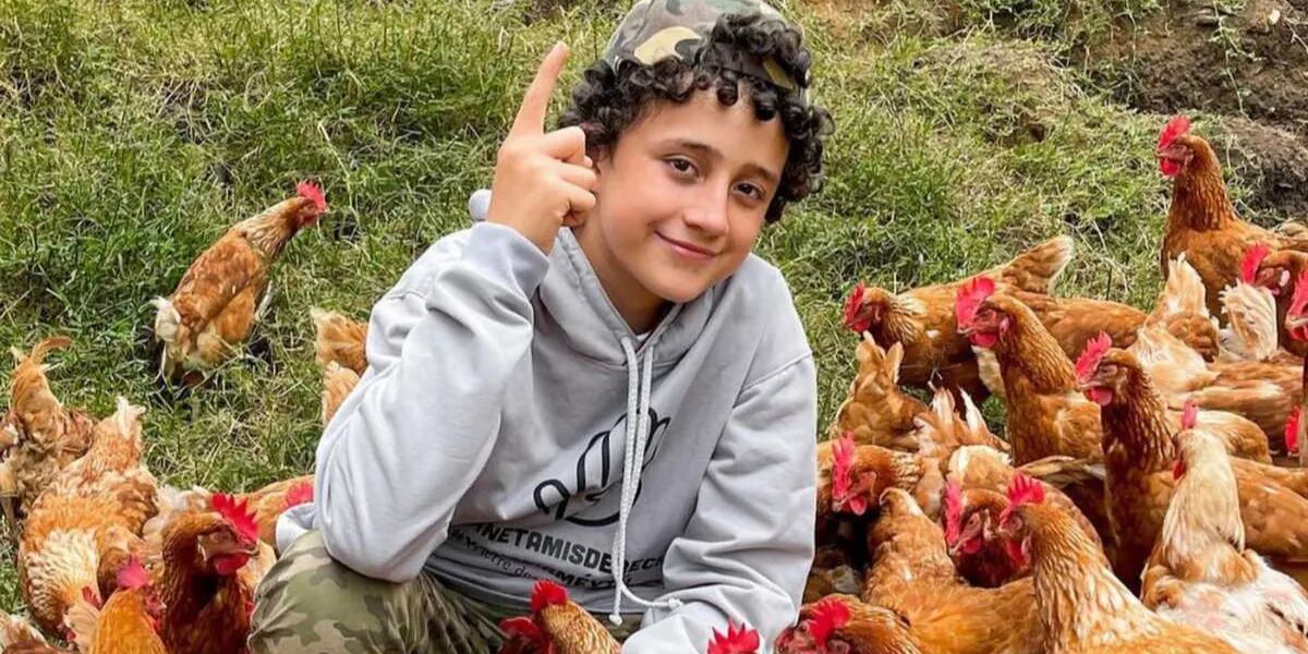 Monopolio Vigilancia nada 🐔 “Los huevos son de mis gallinas”: una vegana y un granjero discutieron  sin filtro por cómo cuidan a los animales y se hizo viral | La 100