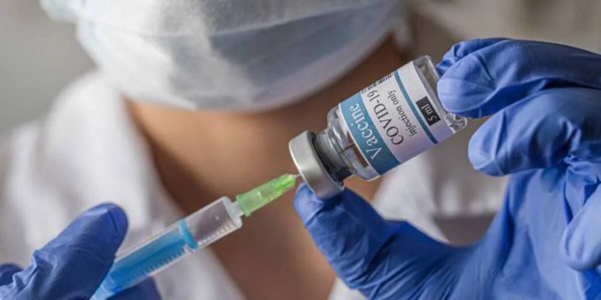 La vacuna vegetal contra el coronavirus que se estudia en la Argentina mostró una eficacia del 71%