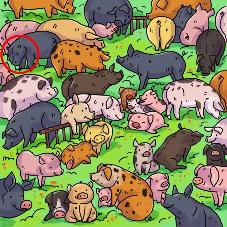 Reto visual nivel EXPERTO: encontrá al HIPOPÓTAMO entre los cerdos en menos de 9 segundos