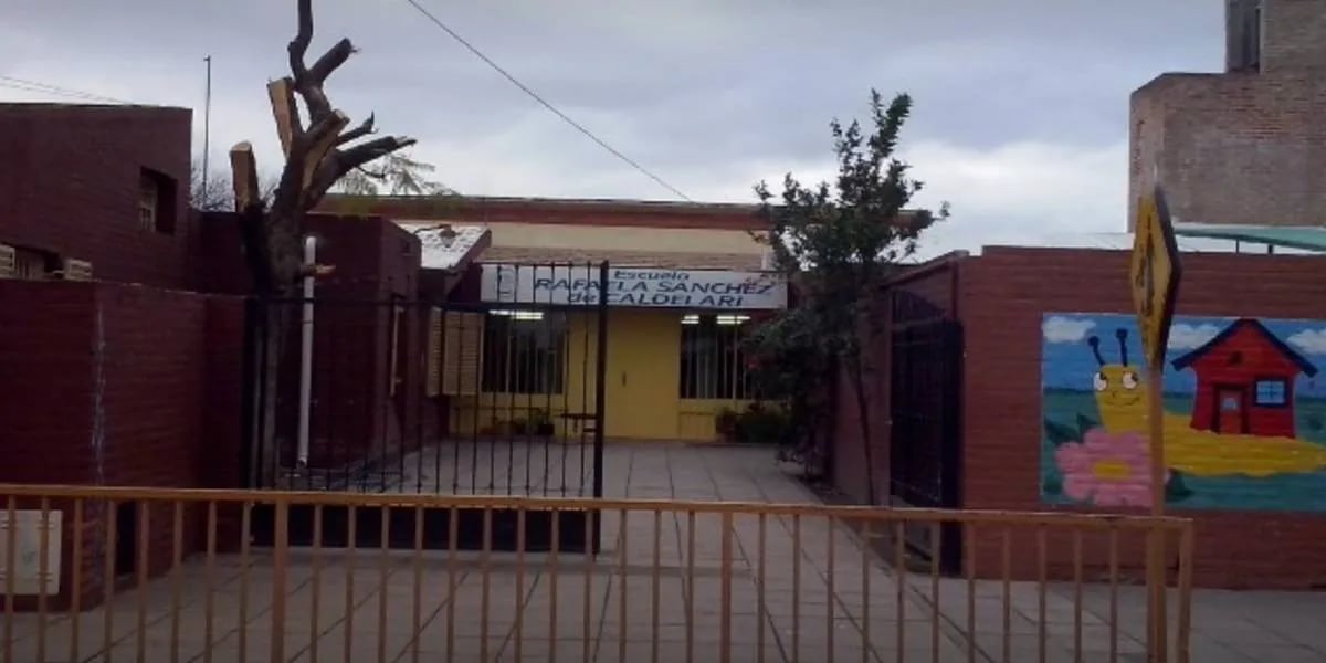 🔴 Horror en la escuela: dos chicos abusaron y torturaron a un nene con autismo en el baño