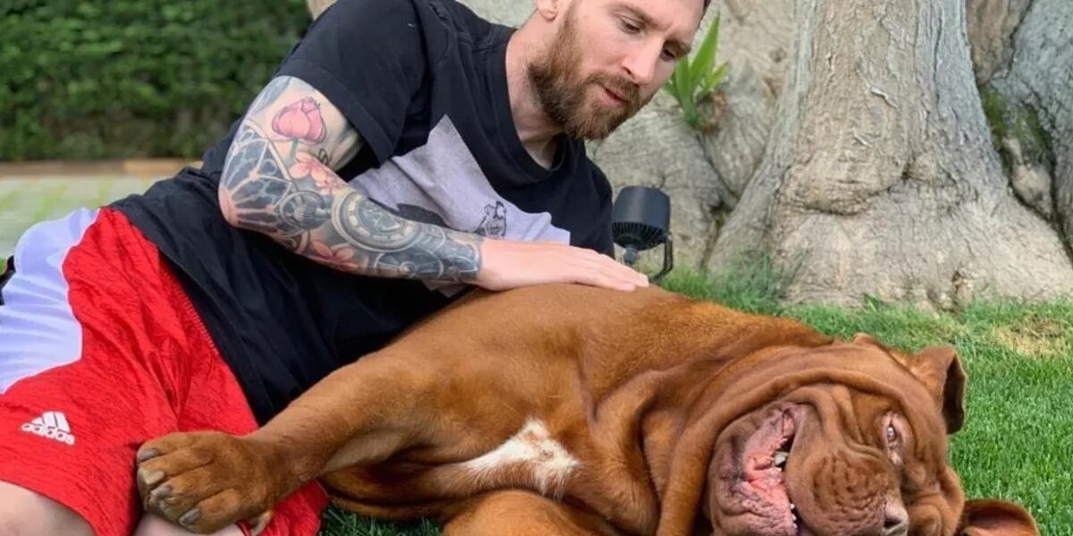 Qué es de la vida de Hulk, el perro de Lionel Messi y Antonela Roccuzo que se quedó en Barcelona