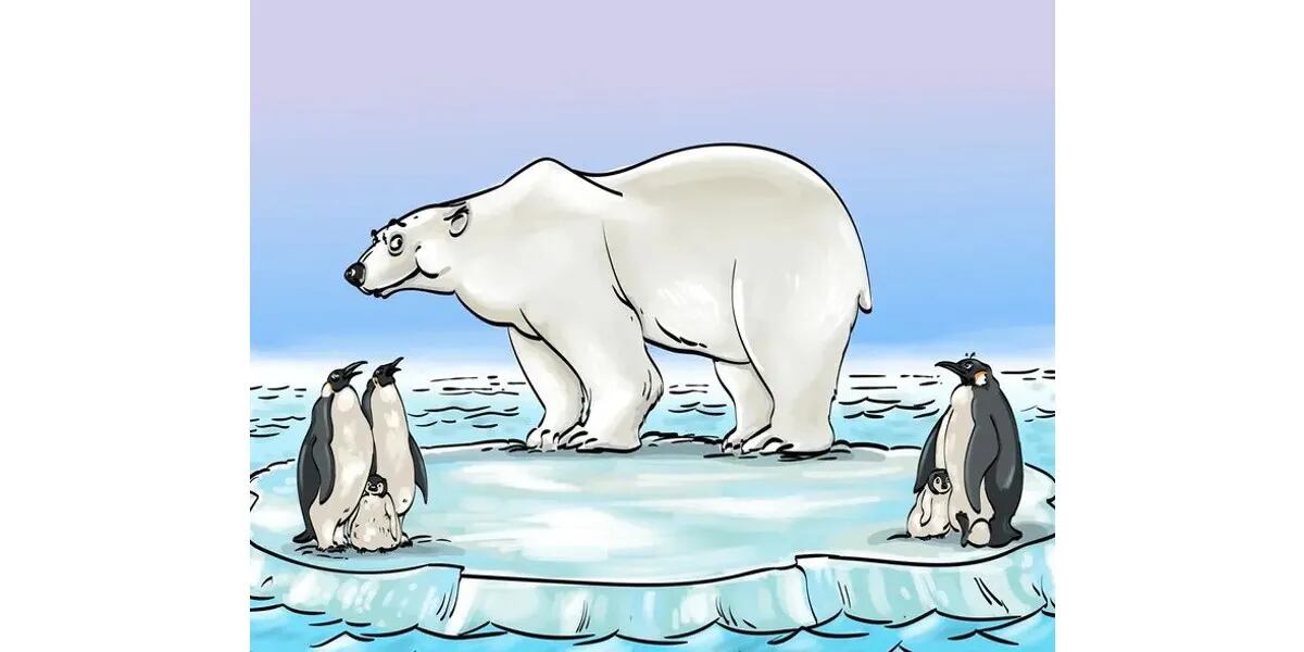 Reto visual para resolver en 10 segundos: encontrar el error en el oso polar