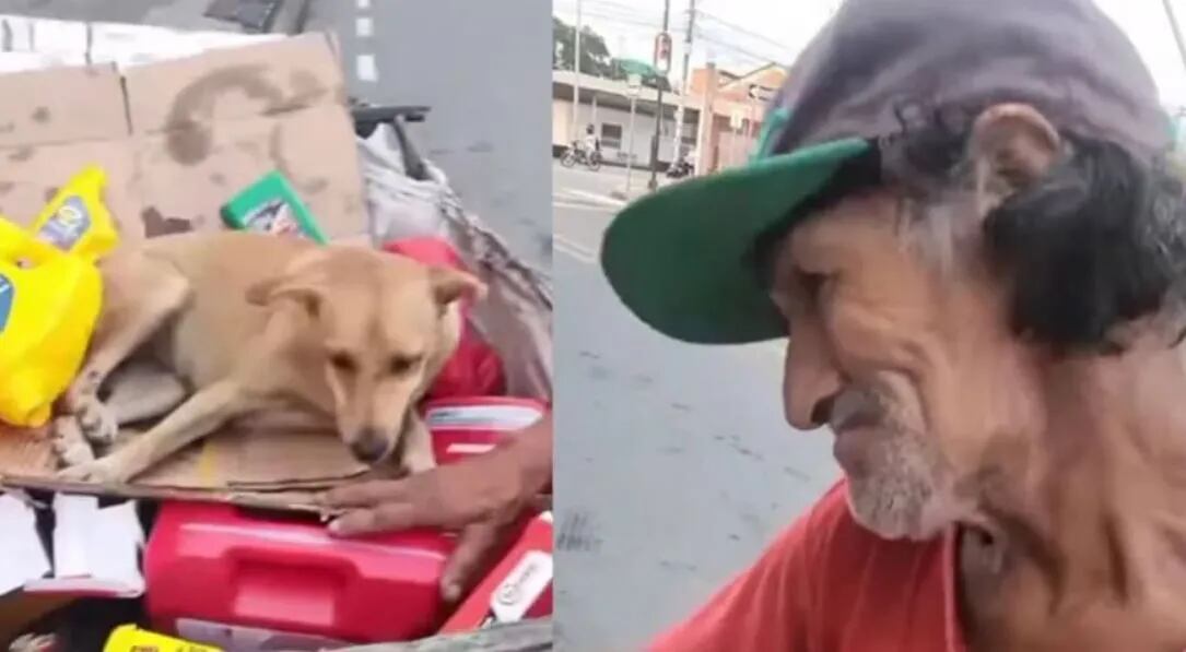 Le quisieron comprar a su fiel perrita por 100 dólares y su respuesta se hizo viral: “La plata no me cuida”