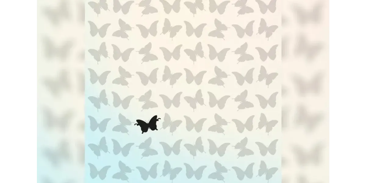 Reto visual: encontrá la mariposa diferente en 30 segundos