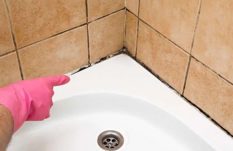 El truco (simple y quitar el moho de los azulejos en el baño La