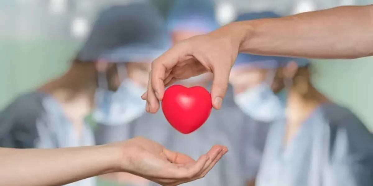 Día Internacional del Trasplante de Órganos y Tejidos: por qué se celebra cada 27 de febrero