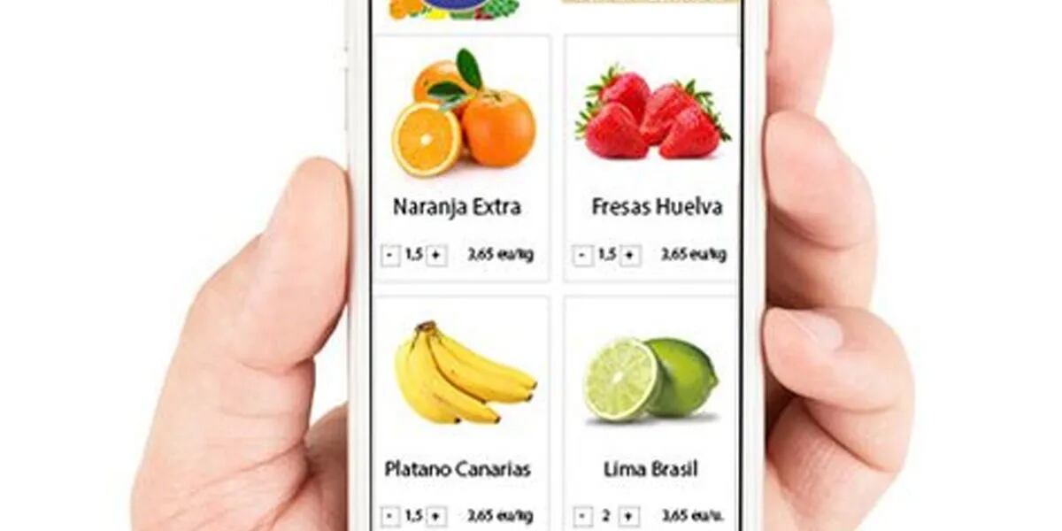 WhatsApp: se podrán comprar verduras y frutas a través de la aplicación