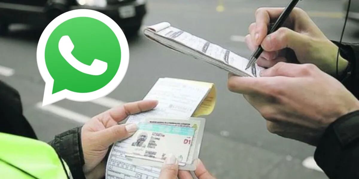 WhatsApp: cómo saber si tenés multas desde la app