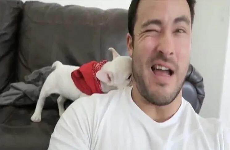 Video| Su dueño le dijo "guapo" y la reacción del cachorro se hace viral