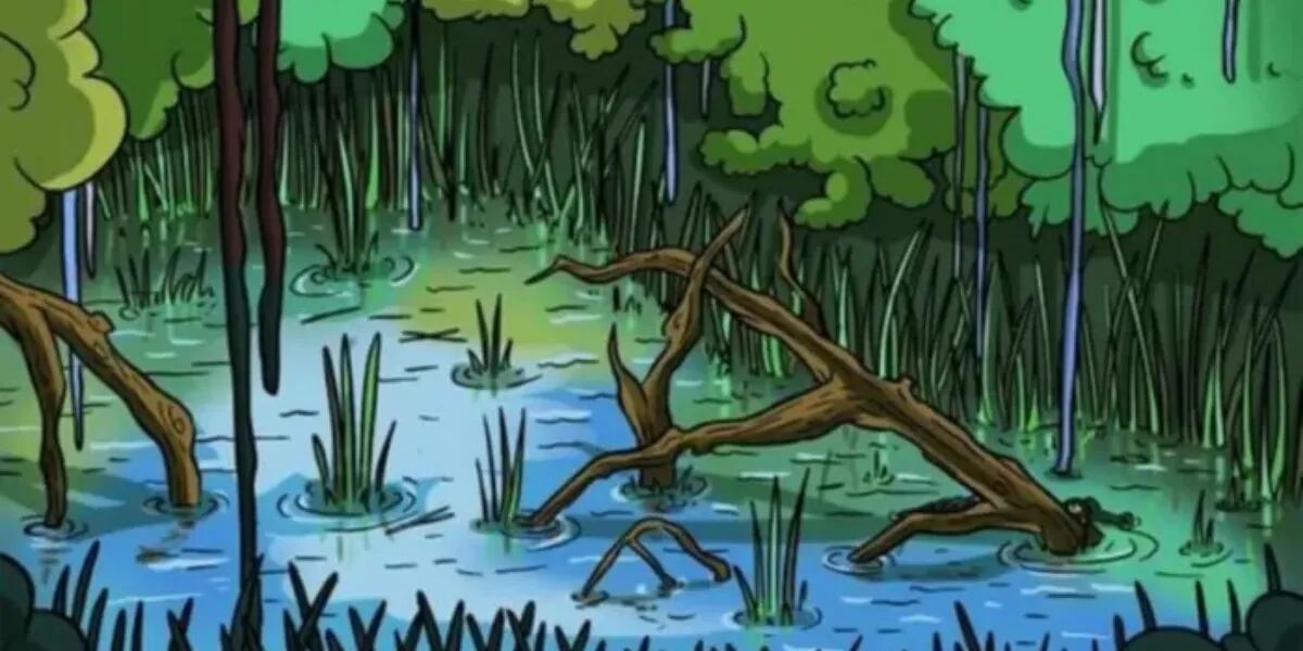 Encontrá al depredador oculto en el pantano y escapá de su mirada afilada en este reto visual