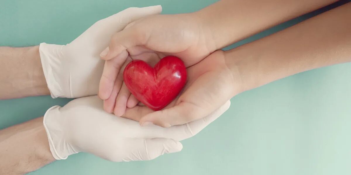 Día Nacional de la Donación de Órganos: por qué se celebra cada 30 de mayo