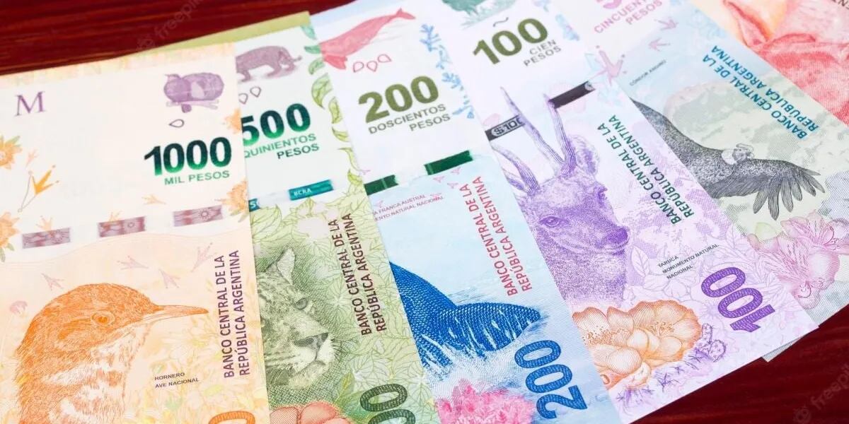Aumento salarial de casi 100% y un bono de casi 50 mil pesos: quiénes serán los beneficiarios
