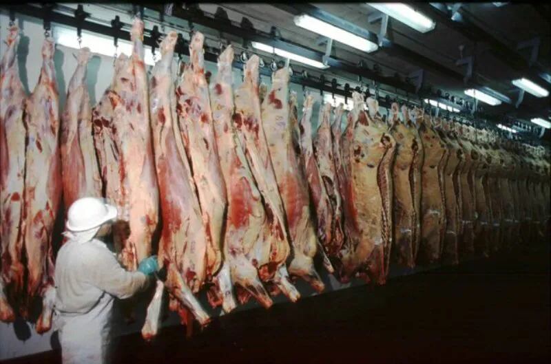 Exportación de carne: "vamos mal, pero estaremos bien"