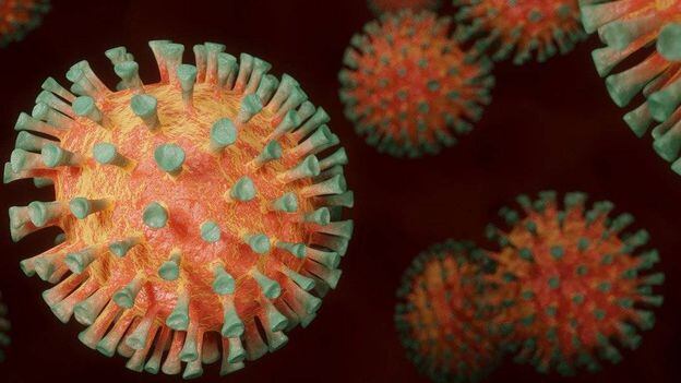 Crearon antivirales que desactivarían el coronavirus simulando al sistema inmunitario humano