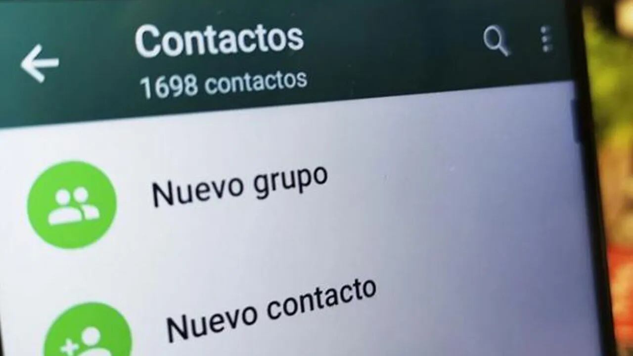 WhatsApp agregará la opción "encuestas" en los grupos