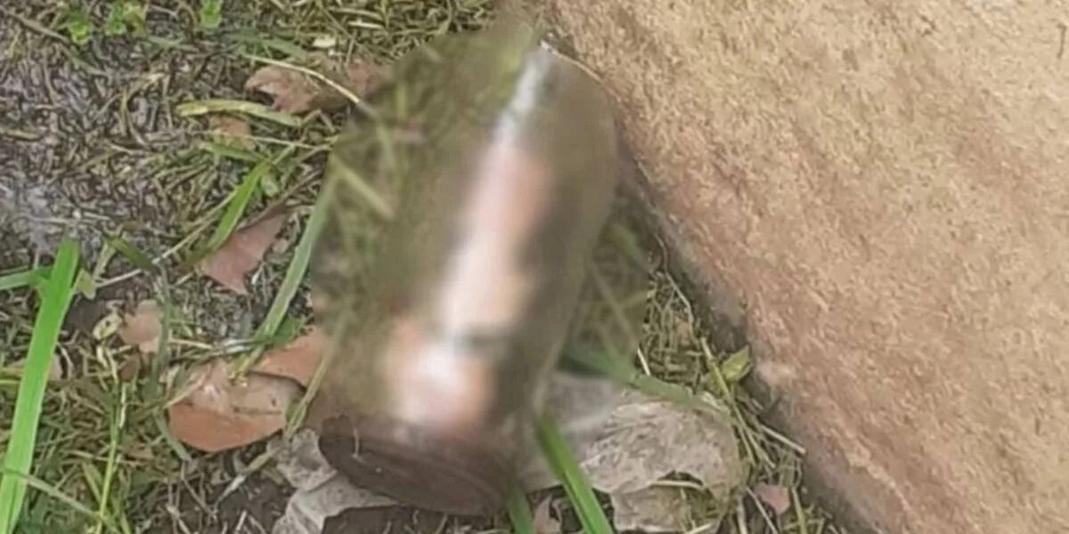 Encontró un pene mientras cortaba pasto en el jardín de una casa en Maipú