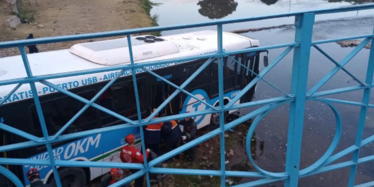 El conductor que chocó al colectivo que cayó al río en Córdoba estaba alcoholizado