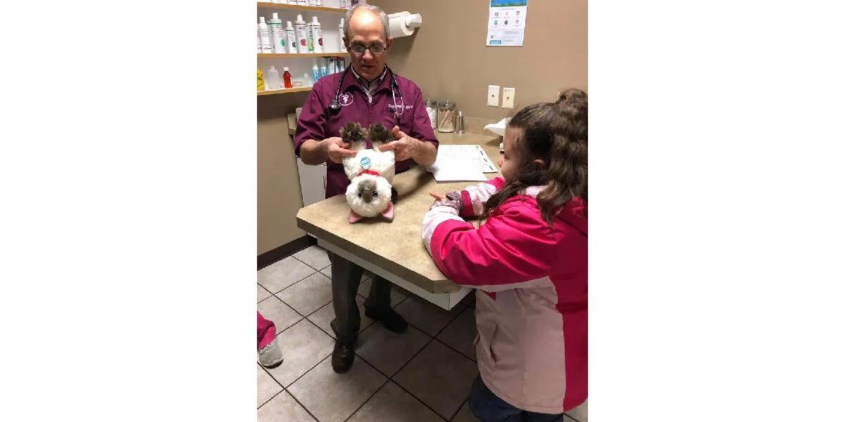 Una nena llevó a su gato de peluche al veterinario para que lo curaran