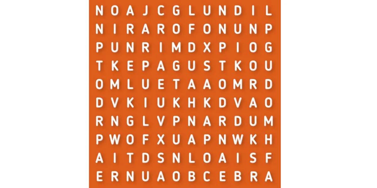 Reto visual para principiantes: encontrar la palabra “CEBRA” en la sopa de letras