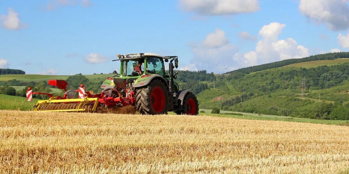 Día Mundial de la Agricultura: por qué se celebra hoy 9 de septiembre