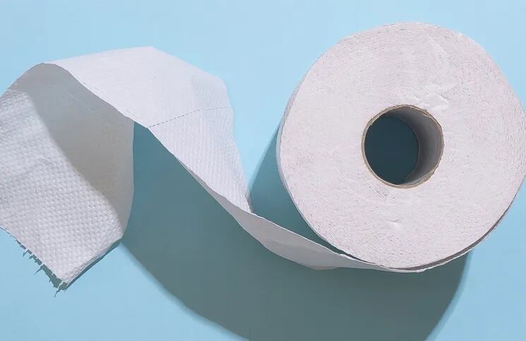 Un rollo de papel higiénico 'viaja' por todo el mundo gracias al nuevo desafío viral que es furor